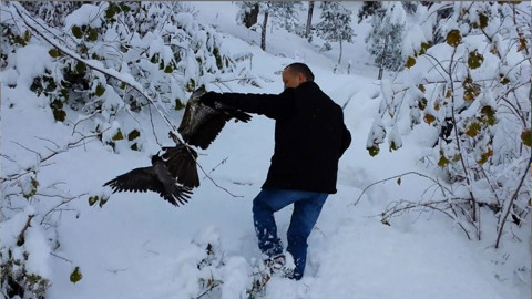 Giresun’da yol kenarında pençelerinin arasından can çekiyordu! Vatandaşlar doğadaki manzaraya kayıtsız kalmadı