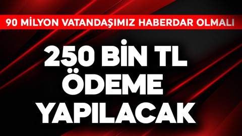90 milyon vatandaşımız haberdar olmalı! 250 bin TL ödeme yapılacak