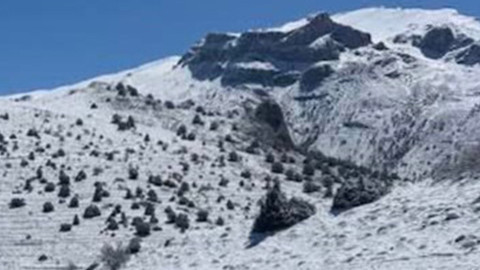 Konya'da Nisan ayında doğada büyük sürpriz