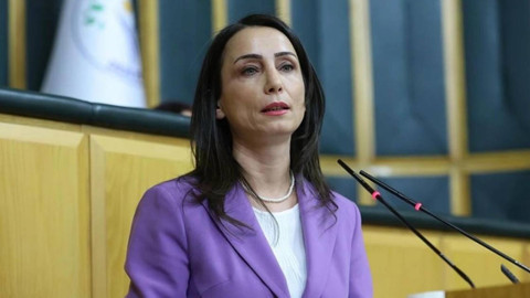 DEM Parti Eş Başkanı Hatimoğulları'ndan süreç açıklaması: Bu gölden size balık çıkmaz