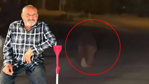 Evinin balkonunda uyurken ayı saldırdı! Balkondan alıp 20 metre boyunca... Acı haber geldi
