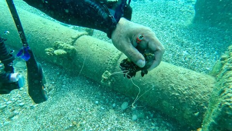 Antalya'da dalış yaptığı yerde, korkunç bir manzarayla karşılaştı. 3 tanesi suyun altında ölmek üzereydi - Resim: 1