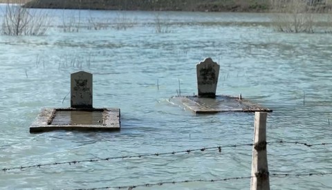 Samsun'da 1000'lerce hayvan bir anda ortaya çıktı. 1000'lercesinin tek bir toplandığı yeri görenler şaştı kaldı - Resim: 1