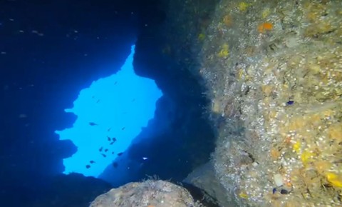 Antalya'da bu yıl turistlerin uğrak noktası belli oldu. Kendilerini serin sulara bırakan turistler gizemli mağaraların arasında gezmeye başladı - Resim: 1