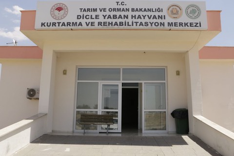 Uzak ülkelerden göç ederek topraklarımıza gelmişti. Yaralı halde bulunup uzmanlara teslim edilen canlıdan kötü haber geldi - Resim: 1