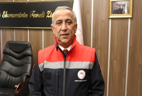 Samsun'da doğada 10.000 tanesi serbestçe geziyordu! Resmi ekipler o detayı fark etti. Acilen Kandıra'dan 36 tanesi getirilip 10.000 tanenin arasına bırakıldı - Resim: 1