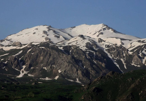 Hakkari'de doğada  2 bin 938 metre yükseklikte tespit edildi. Araştırmacılar 1 tane hayvanı görür görmez hemen resmi kayda aldı Türkiye'de ilk kez görüldü - Resim: 1