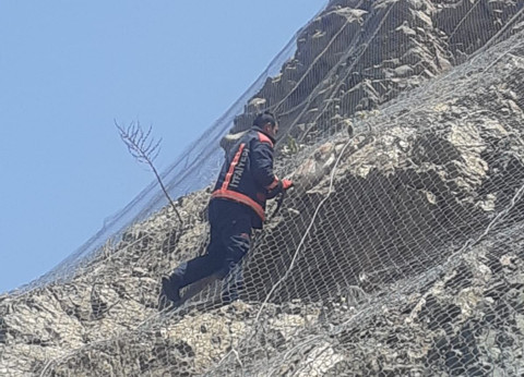 Malatya'da ağlar arasına takılan 2 tanesi fark edildi. 2 tane hayvanı yan yana orada gören vatandaşlar hayretler içinde ekipleri aradı - Resim: 1
