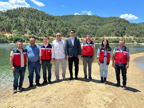 Kütahya’da 89.000 tanesi doğaya aynı noktadan bırakıldı... Tüm hayvanlar farklı noktalara doğru akın etti - Resim: 1