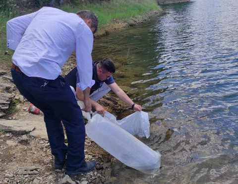 Kütahya’da doğaya tam 40 bin 700 tanesi bırakıldı. Özel poşetler içerisinde korunarak getirildiler - Resim: 1