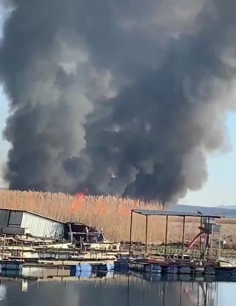 Denizli'de korkunç yangın! Gökgöl'deki sazlıklar cayır cayır yanarken binlerce yaban canlısının telef oldu - Resim: 3