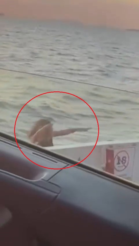 Kadın yolcu feribottan atladı! O anlar kamerada - Resim : 1