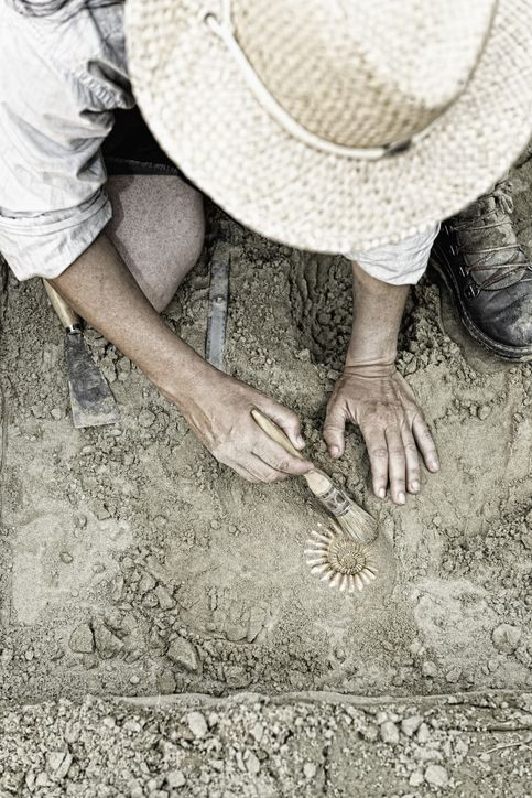 Tarihin en büyük şifresini çözene servet var! Gizemli yazının sırrını ortaya çıkartan 1 milyon dolar alacak - Resim: 9