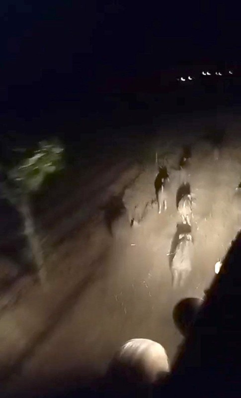 Şanlıurfa’da gece 1,2,3,4,5 taneden fazlası tarlada bir anda ortaya çıktı. Çiftçi traktörüne atlayıp tek 1 hareket yaptı - Resim: 3