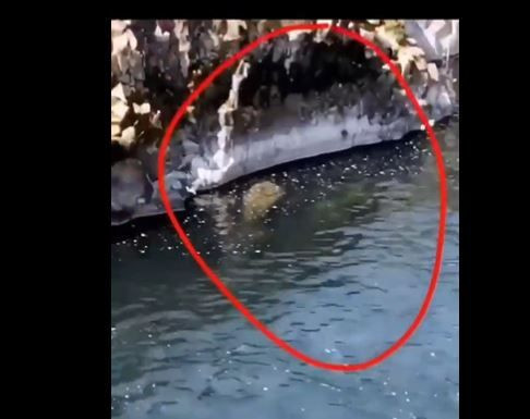 Dünyayı buz kestirip kaynatan sonra tekrar kaynatıp buz kestiren görüntü. Suda kafasını çıkardı, onu gören herkes korkudan saçını başını yoldu - Resim: 3