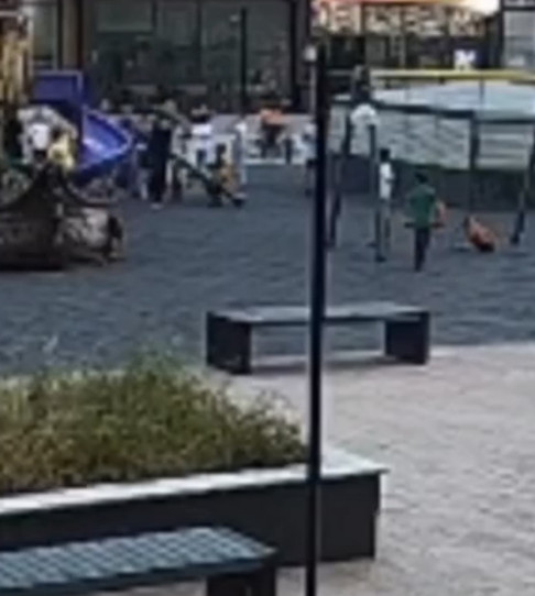 Bursa'da şoke eden görüntüler! 2 küçük çocuğu yerden yere vurdu! - Resim : 1