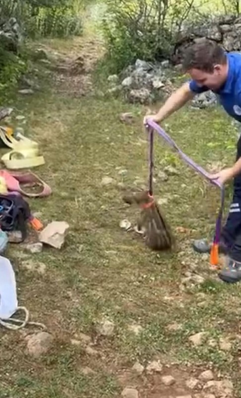 Muğla'da 100 metrelik su kuyusundan gelen acı acı bağırış seslerinin ardından resmi ekipler 100 metrelik kuyuya inince dipte onunla karşılaştı - Resim: 4