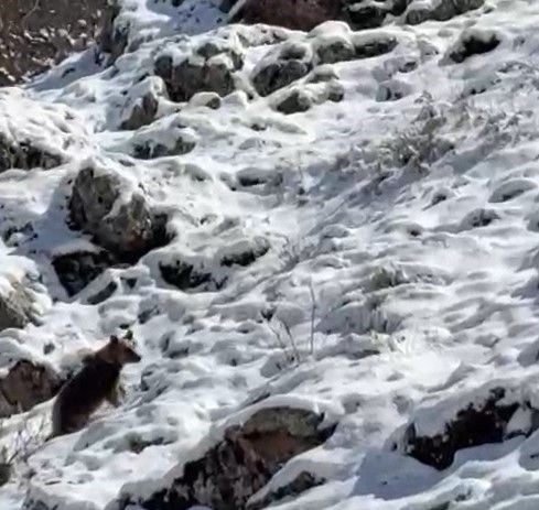Bayburt'tan da Türkiye'yi ilgilendiren haber geldi. Yakında her yerden 200 200 fırlayacak. Acil önlem alınmazsa durum kötü - Resim: 2