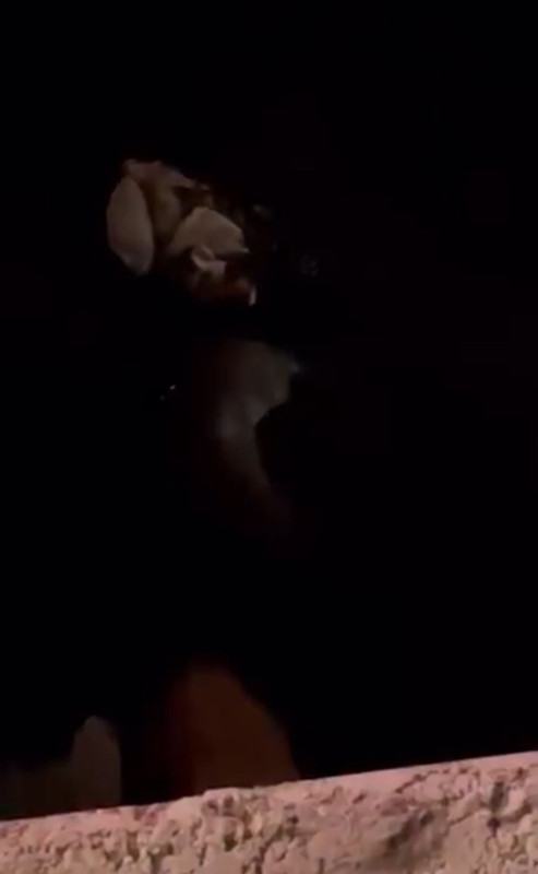 Hakkari’nin Yüksekova ilçesinde derede o nadir hayvan fark edildi! Vatandaşlar hemen kayda aldı - Resim: 2