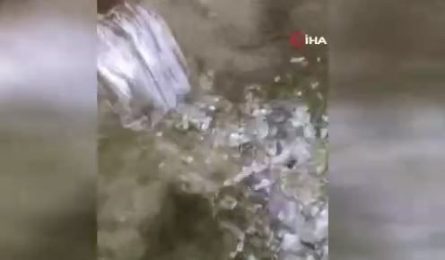 Elazığ'da yakında doğada 1 tanesini bile görmek imkansız olacak hayvan su borusundan fırladı. Gören vatandaşlar dondu kaldı - Resim: 3