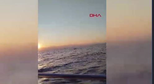 Akdeniz'de gezen 4 amatör balıkçının bir anda karşısına çıktı. Balıkçılar o hayvanı görünce 4'ü birden dondu kaldı - Resim: 5