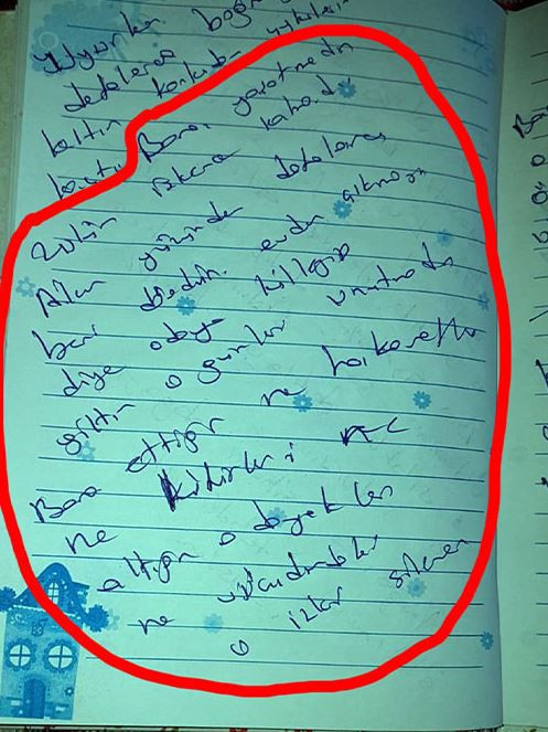 Günlüğünden çıkan satırlar kan dondurdu! Acılı abla böyle feryat etti: ‘Kardeşimizi gelinlikle verdik kefenle aldık’ - Resim : 4