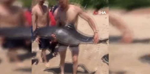 Bartın'da denize girmek için plaja giden vatandaşlar 1 tanesini su üzerinde gördü. Kimse yaklaşmadan ekipler arandı - Resim: 3