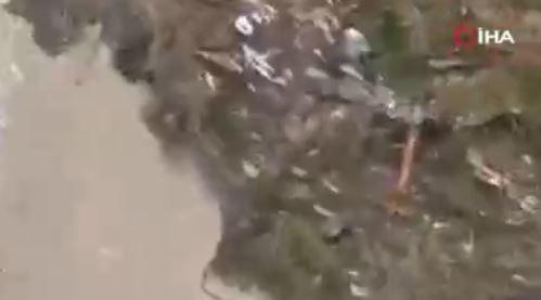 Bitlis'te doğada insandan kaçan ve görülmeyen hayvan 1,2,3,4,5 tane sürüyle ortaya çıktı. 5 tanesini birden gören vatandaşlar dondu kaldı - Resim: 2