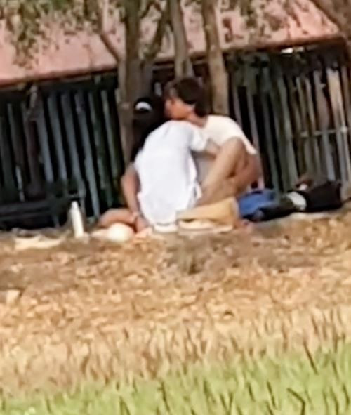 Genç çift parkta gündüz saatlerinde cinsel ilişkiye girdi - Resim: 1