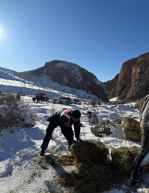 Niğde'de her yer karla kaplandıktan sonra ekipler soluğu arazide aldı. Bu kez onları hayatta tutmak için harekete geçtiler - Resim : 1