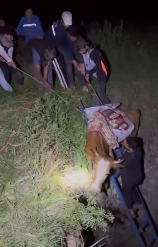 Batman'da gece saatlerinde 3 metrelik kuyudan gelen acı acı bağırış sesleri resmi ekipleri harekete geçirdi. 3 metrelik kuyuya inince onu gördüler - Resim: 1