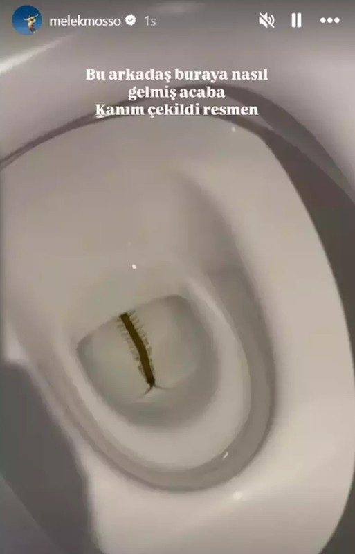 Bali'de tatil yapan Melek Mosso'nun klozetinden çıkan şey şoke etti! "Görünce içim çekildi" - Resim: 4