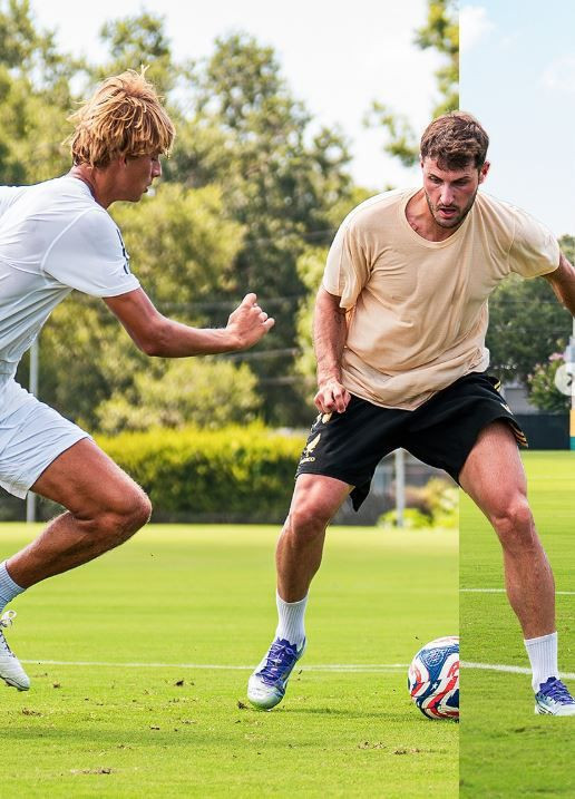 Fenerbahçe'yi Duran da kesmedi! En Nesyri ve Cenk'in yanına İtalyan devinden 30 milyon euroluk forvet hamlesi - Resim: 13