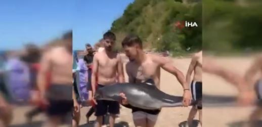 Bartın'da denize girmek için plaja giden vatandaşlar 1 tanesini su üzerinde gördü. Kimse yaklaşmadan ekipler arandı - Resim: 4
