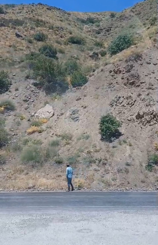 Van-Yüksekova kara yolunda aynı anda belirdiler, sürü halinde dağa doğru ilerlediler - Resim: 3