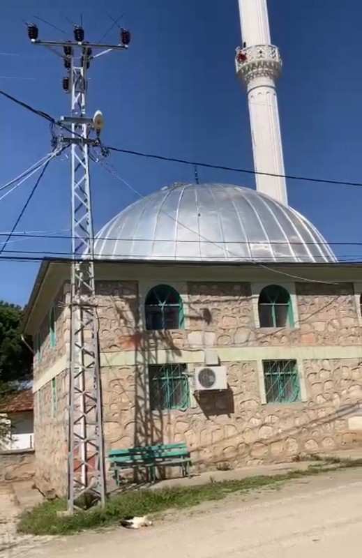 Tokat'tan Türkiye'ye 100'lercesi teker teker giriş yapan hayvanlardan 1 tanesiyle ilgili üzücü gelişme! Çırpınarak telef oldu - Resim: 1