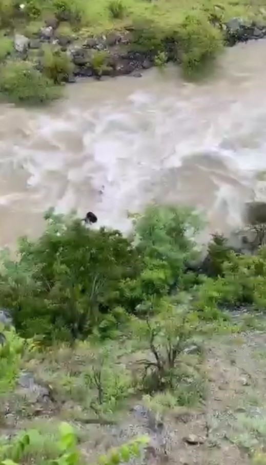 Artvin'de yürek yakan olay! Baba-oğul kamyonetle Çoruh Nehri'ne uçtu: Kahreden detay ortaya çıktı - Resim : 4