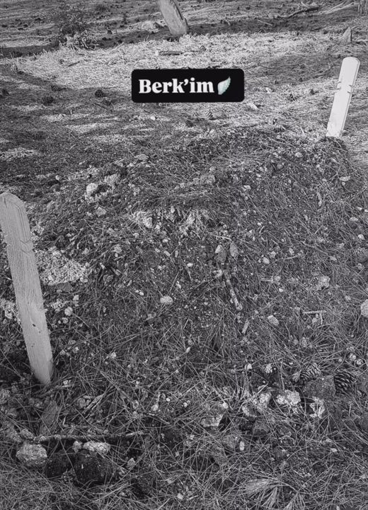 Bebek ölümünde korkunç iddia! Hastanede ihmal zinciri! Doktorun elinden düşen bebek hayatını kaybetti - Resim: 5