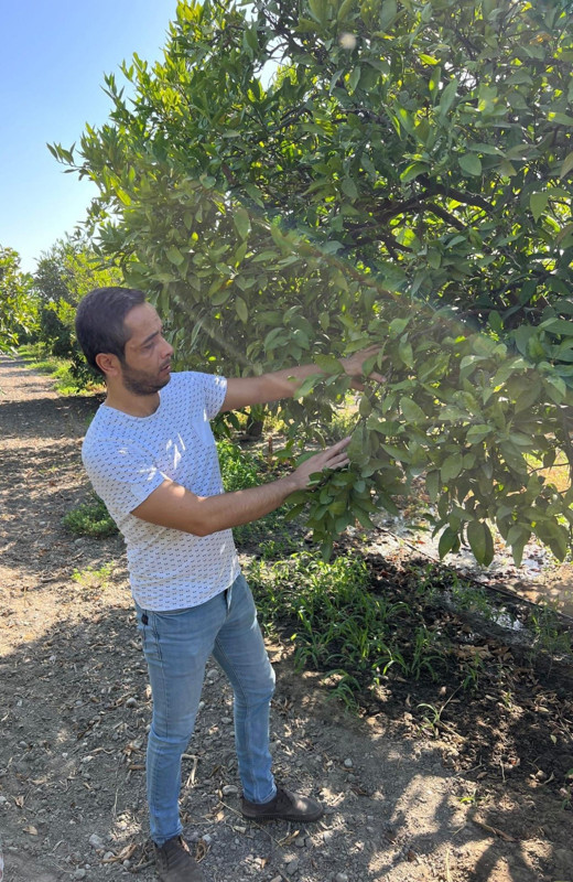 Aydın Söke’de tarım arazilerinde tuzaklar kontrol edildi, üreticilere uyarı yapıldı - Resim: 2