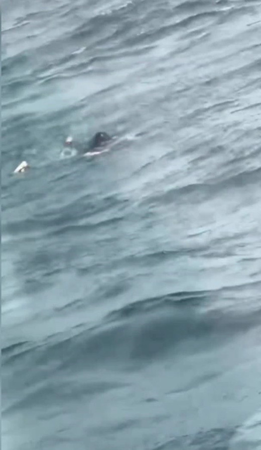 İstanbul Boğazı’nda panik anları! 10 yaşındaki kız vapurdan düştü: O anlar kamerada - Resim : 1