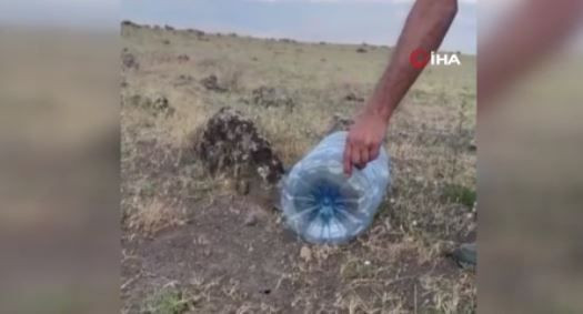Iğdır'da yerleşim alanına kadar indi! Bidonun içinde zor zapt ettiler - Resim: 2
