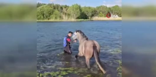 Ardahan'da adadaki 1 tane hayvanı gören vatandaşlar 10 saat sonra aynı yerden geçtiklerinde korkunç detayı fark ettiler. Acilen resmi ekipler arandı - Resim: 3
