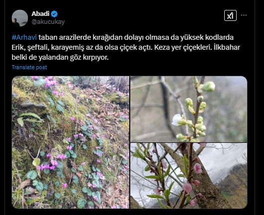 Artvin'den Türkiye'ye üzücü haber... Erik, şeftali, karayemiş 3 tanesi de tek tek aynı tepkiyi verdi. Bu durum hiç iç açıcı değil - Resim : 1