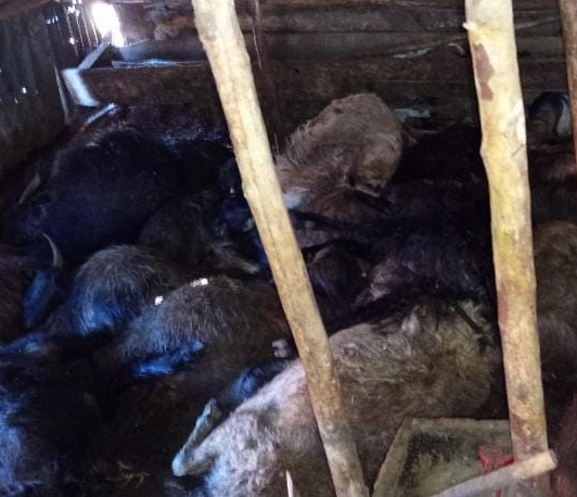 Elazığ'da facia yaşandı! 45 can aynı anda telef oldu - Resim: 3