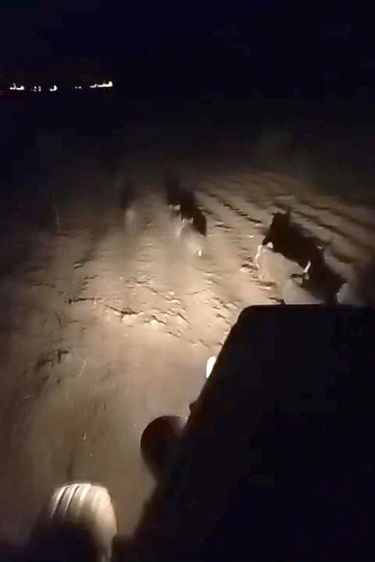 Şanlıurfa’da gece 1,2,3,4,5 taneden fazlası tarlada bir anda ortaya çıktı. Çiftçi traktörüne atlayıp tek 1 hareket yaptı - Resim: 2