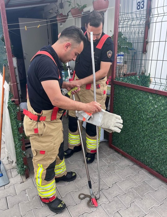 Hatay'da depremzede vatandaşın yaşadığı konteynerde ortaya çıktı. Durum üzerine acil itfaiye ekiplerine haber verildi - Resim : 2