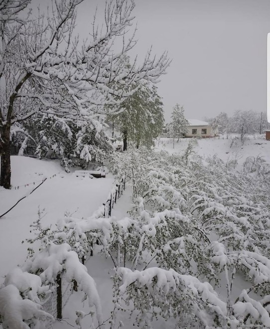 Balkanlardan gelen soğuk hava dalgası Düzce'ye ulaştı. Kent merkezi beyaza büründü - Resim : 2