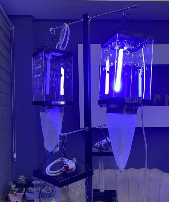 Giresun'da haftada 250.000 ile çoğalabilen büyük istilacı hayvana karşı yeni önlem başlatıldı. Yüzde 97 oranında başarı sağlandı - Resim: 5