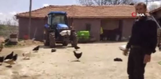 Yozgat'ta köydeki vatandaş 1 tane hayvanı beslemişti. 1 tane hayvanı besledikten sonra kendi hayvanlarının yanına gidince korkunç bir manzarayı gördü - Resim: 5