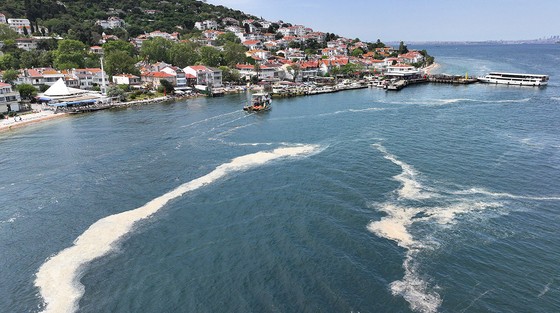 Kabus geri mi dönüyor? Marmara Denizi'nde korkutan görüntü - Resim : 1